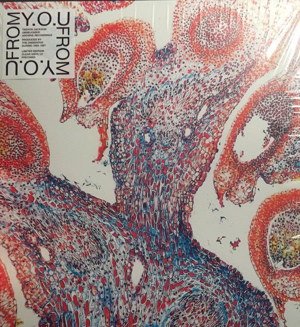 From - Y.O.U Vinyl