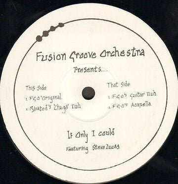 Fusion Groove Orchestra Featuring Steve Lucas - If Only I Could Vinyl Vinly Record