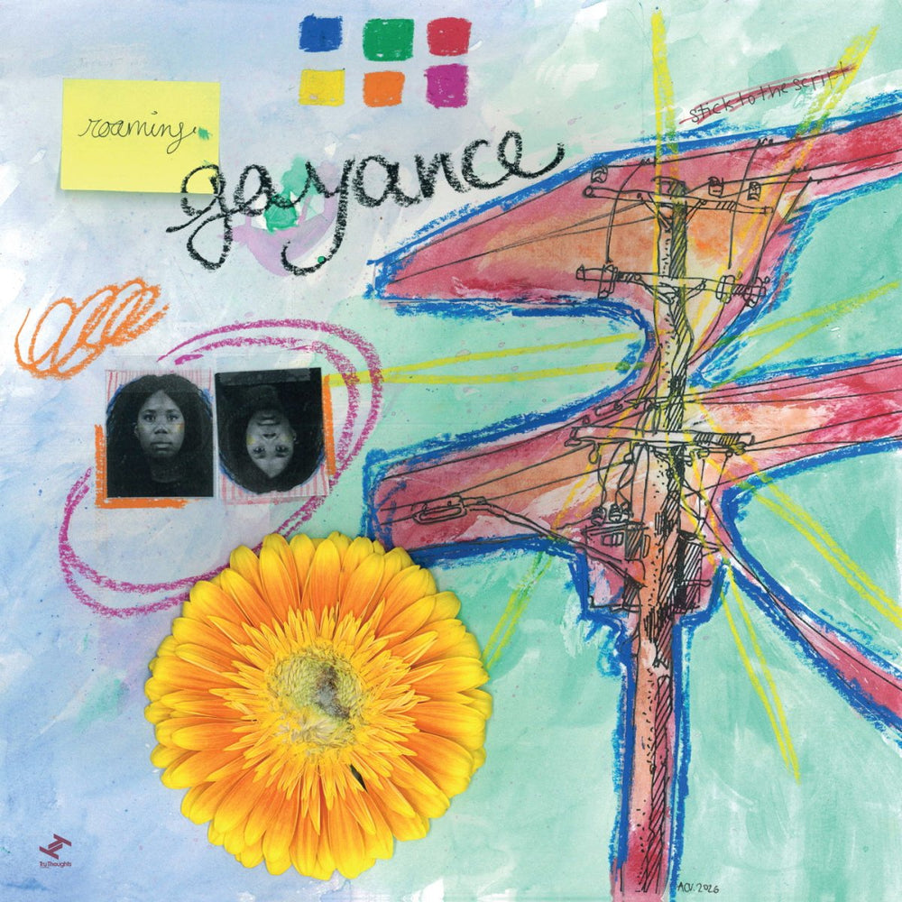 Gayance - roaming Vinyl