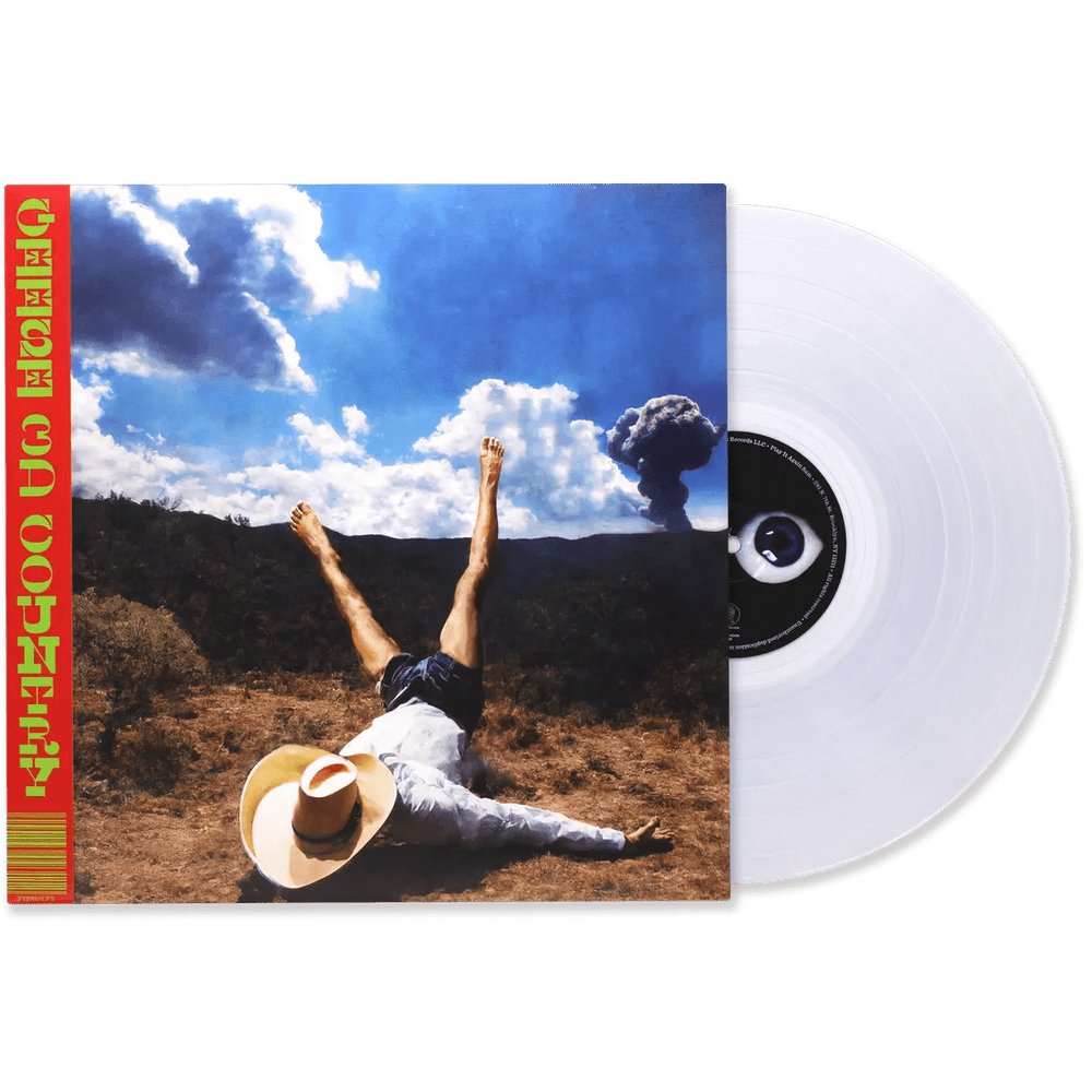 Geese - 3D Country Vinyl