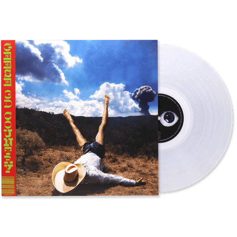 Geese - 3D Country Vinyl - Vinyl Record