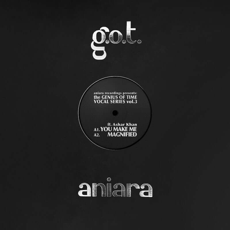 Genius of Time - You Make Me Vinyl