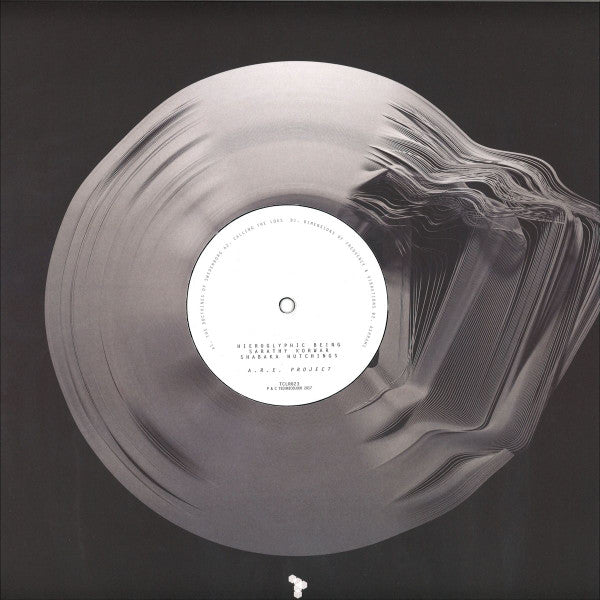 Hieroglyphic Being, Sarathy Korwar, Shabaka Hutchings - Association For Research & Enlightenment Project Vinyl