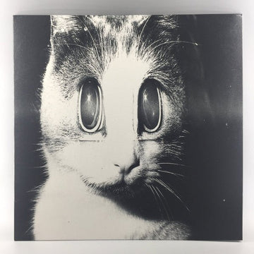 Hodge & Peder - All My Love Vinyl Vinly Record