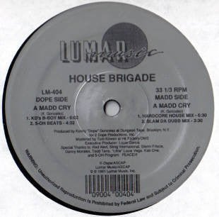House Brigade - A Madd Cry Vinyl Vinly Record