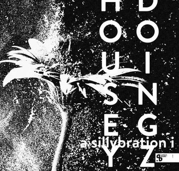 Housey Doingz - A Sillybration I Vinyl Vinly Record