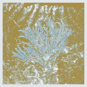 Huerco S - For Those Of You Who Have Never (And Also Those Who Have) Vinyl Vinly Record