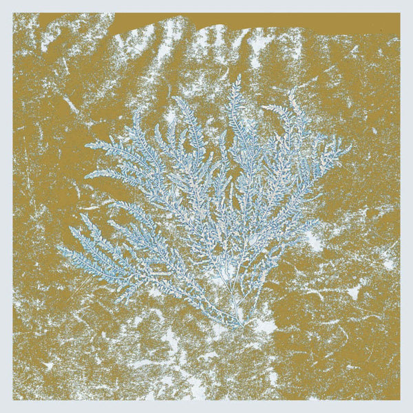Huerco S - For Those Of You Who Have Never (And Also Those Who Have) Vinyl