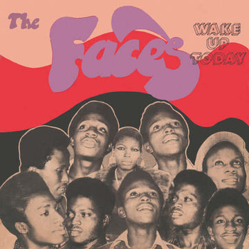 The Faces - Wake Up Today Vinly Record