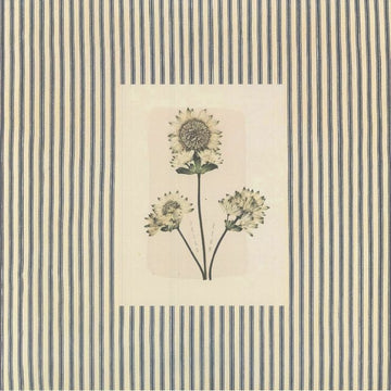 Jeigo - Etum Vinyl Vinly Record