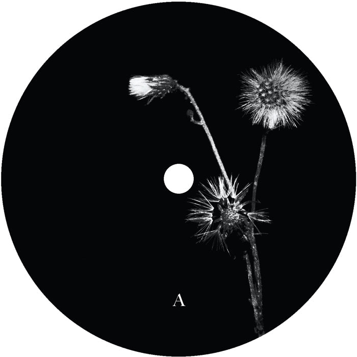 Jon Dasilva and Skyskrapa Feat. Donald Waugh - Sun Brings Joy Vinyl