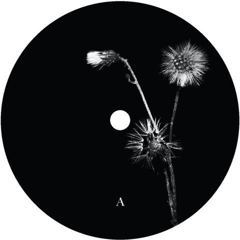Jon Dasilva and Skyskrapa Feat. Donald Waugh - Sun Brings Joy Vinyl - Vinyl Record