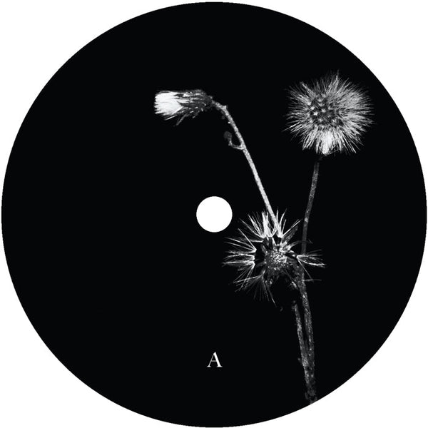 Jon Dasilva and Skyskrapa Feat. Donald Waugh - Sun Brings Joy Vinyl