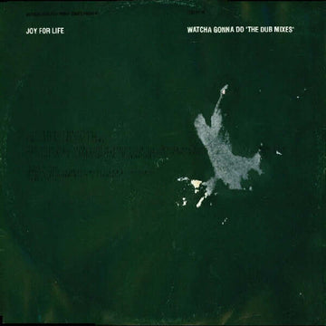 Joy For Life - Watcha Gonna Do (The Dub Mixes) Vinyl Vinly Record
