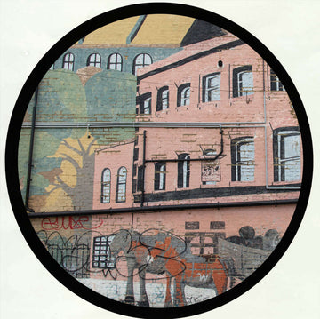 Karma - Drizzle / Delirium Vinyl Vinly Record