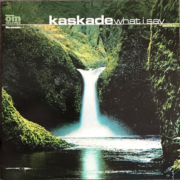 Kaskade - What I Say Vinyl