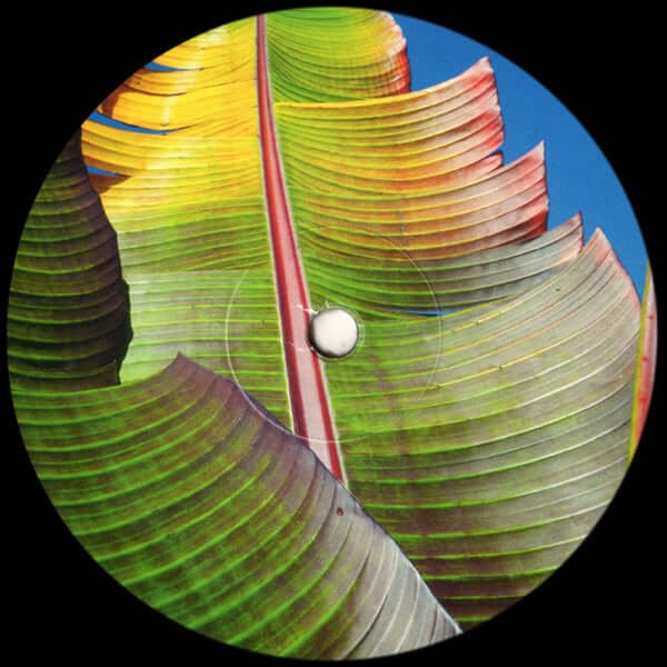 KH - Only Human Vinyl