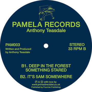 Anthony Teasdale - 003 - Artists Anthony Teasdale Genre Deep House Release Date 27 Oct 2023 Cat No. PAM003 Format 12