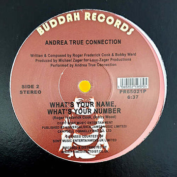 Andrea True Connection - More, More, More - Artists Andrea True Connection Genre Disco, Reissue Release Date 1 Jan 2019 Cat No. PR65021P Format 12
