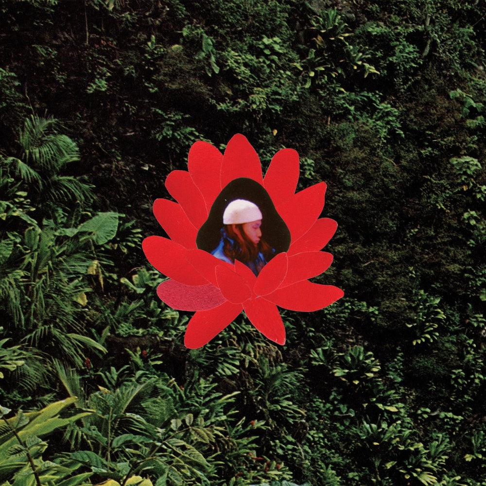 Lionmilk - When The Flowers Bloom Vinyl