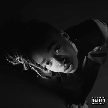 Little Simz - Grey Area Vinyl Vinly Record