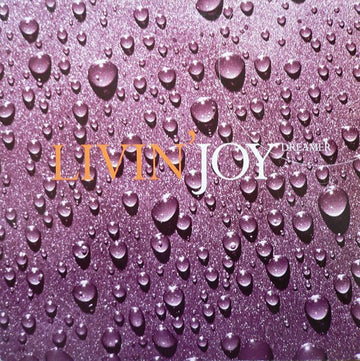 Livin' Joy - Dreamer Vinyl Vinly Record