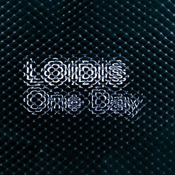 Loidis - One Day Vinyl Vinly Record