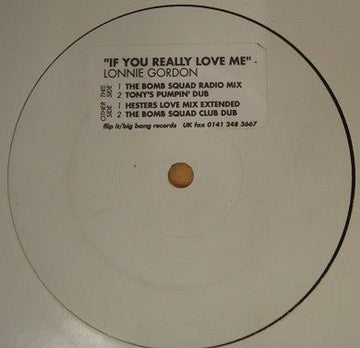 Lonnie Gordon - If You Really Love Me Vinyl Vinly Record