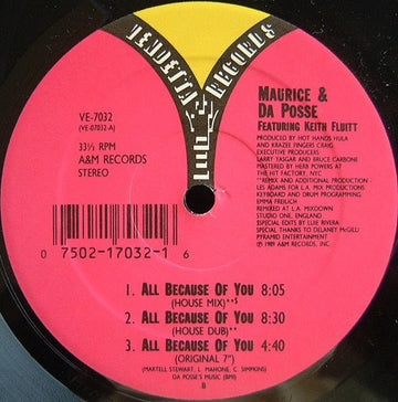 Maurice Joshua & Da Posse - All Because Of You Vinyl Vinly Record
