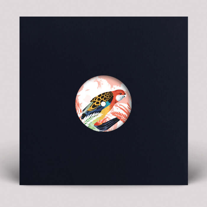 Michael The Lion / Natasha Kitty Katt - I Found Peace Vinyl