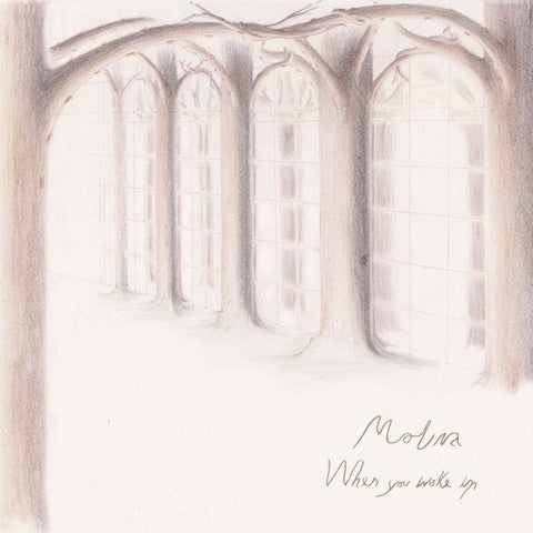 Molina - When You Wake Up (Ltd. 500 Copies) Vinyl - Vinyl Record
