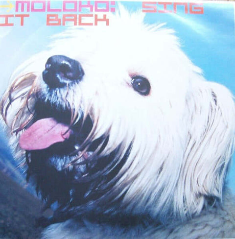 Moloko - Sing It Back Vinyl - Vinyl Record