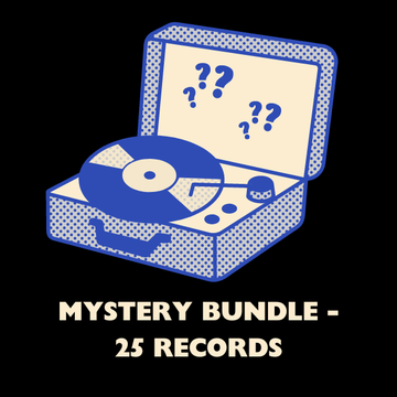 Mystery Bundle - 25 Records Vinyl Vinly Record