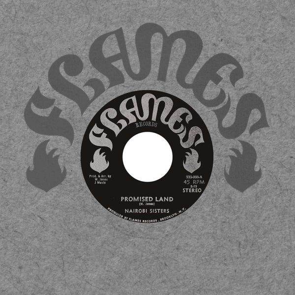 Nairobi Sisters - Promised Land Vinyl