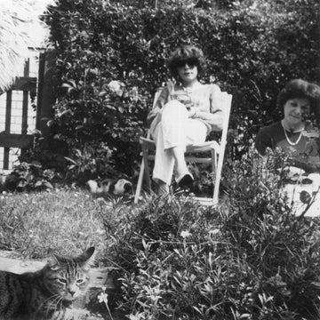 Natasha Pirard - Fernande, Cecile Vinyl Vinly Record