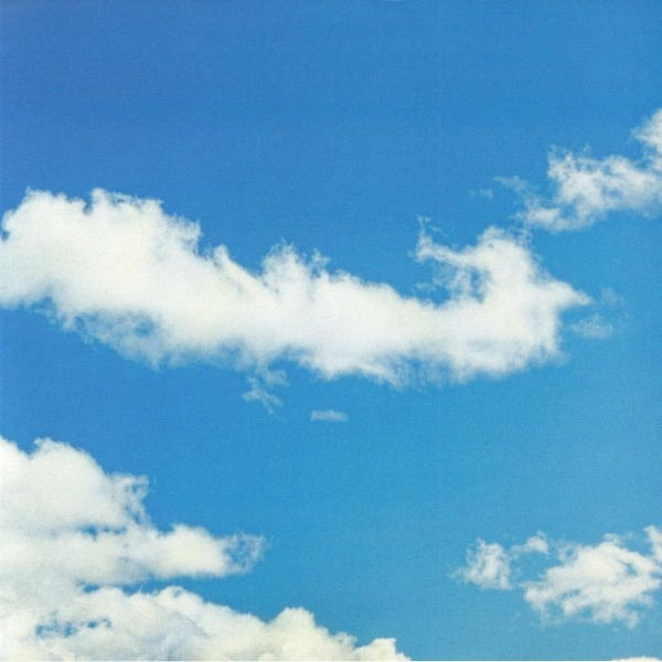 Netsky - Everybody Loves The Sunshine Vinyl