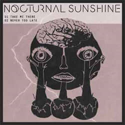 Nocturnal Sunshine - Take Me There Vinyl Vinly Record
