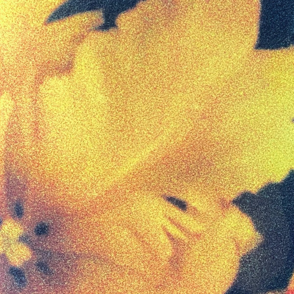 nthng - Last Light of the Sun Vinyl