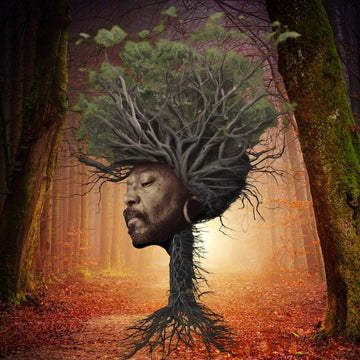 Osunlade - Inner Garden Vinyl Vinly Record