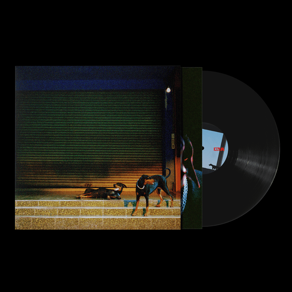 Overmono - Pure Devotion Vinyl