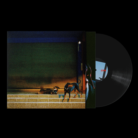 Overmono - Pure Devotion Vinyl - Vinyl Record