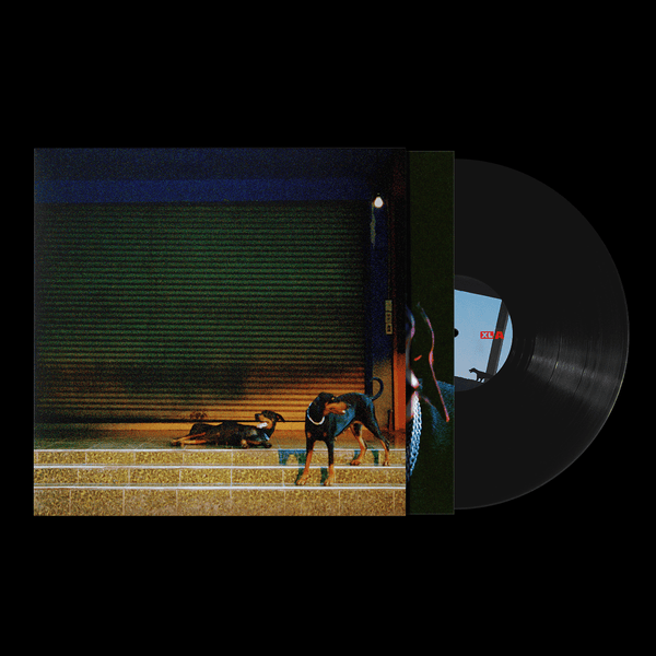 Overmono - Pure Devotion Vinyl
