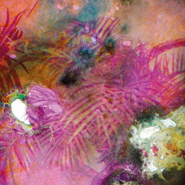 Panthera Krause - Umami EP Vinyl Vinly Record