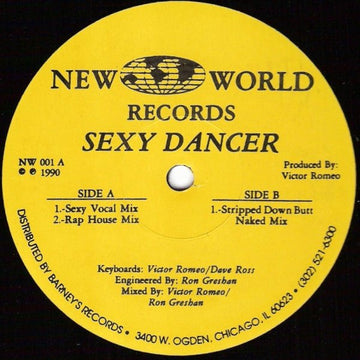 Pleasure Inc. Featuring Diva & Lynett P. - Sexy Dancer Vinyl Vinly Record