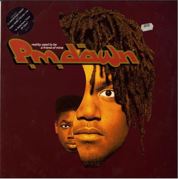 P.M. Dawn - Reality Used To Be A Friend Of Mine Vinyl Vinly Record