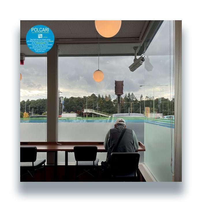 Polcari - I Will Try To Imitate The Birds Vinyl