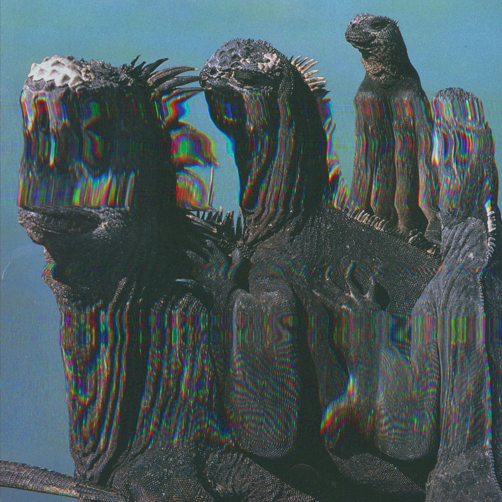 Sam Binga + Machinedrum + Cesco - Niche Flex - front artwork