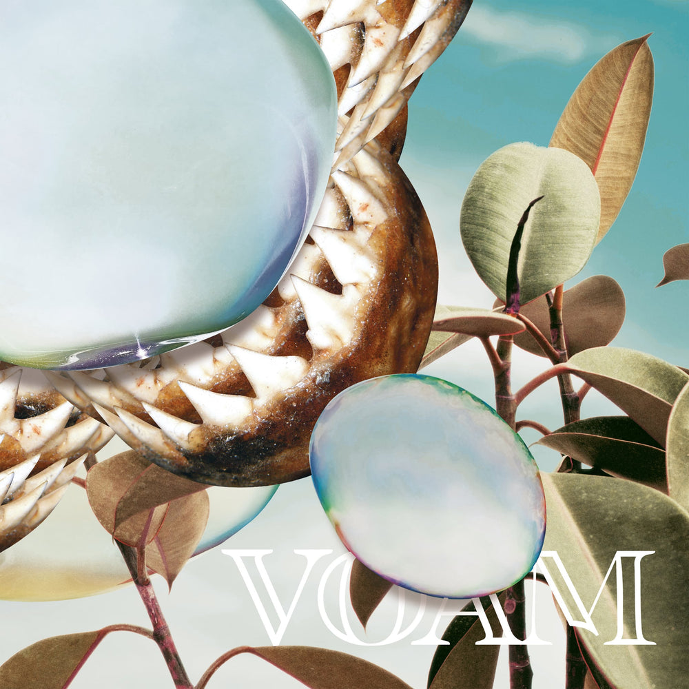 Rhyw - Piranha Pop - release artwork