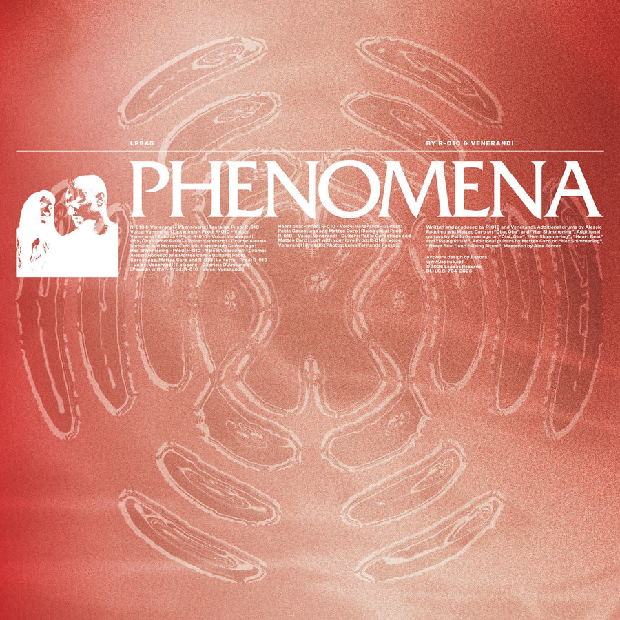 R-010 & Venerandi - Phenomena