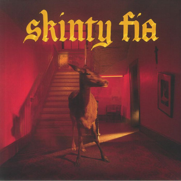 FONTAINES DC - Skinty Fia 1